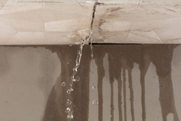 Professional Water Damage Restoration technician working in Bryson, TX